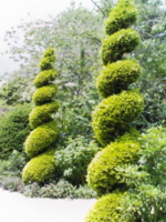 f:id:xxkyrixx:20090707125817j:image f:id:xxkyrixx:20090707125817j:image
