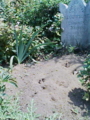 20090716132449