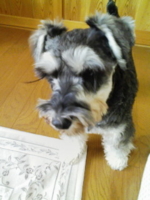 f:id:xxkyrixx:20091025095027j:image f:id:xxkyrixx:20091025095027j:image