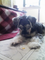 f:id:xxkyrixx:20091025100543j:image f:id:xxkyrixx:20091025100543j:image