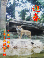 f:id:xxkyrixx:20091230181552j:image f:id:xxkyrixx:20091230181552j:image