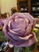 f:id:xxkyrixx:20100121205338j:image f:id:xxkyrixx:20100121205338j:image