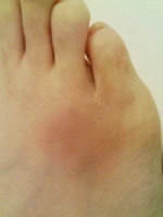 f:id:xxkyrixx:20100216011304j:image f:id:xxkyrixx:20100216011304j:image