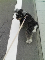 f:id:xxkyrixx:20100328110835j:image f:id:xxkyrixx:20100328110835j:image
