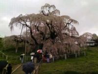 f:id:xxkyrixx:20100429114741j:image f:id:xxkyrixx:20100429114741j:image