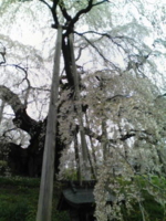 f:id:xxkyrixx:20100429114953j:image f:id:xxkyrixx:20100429114953j:image