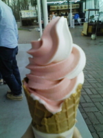 f:id:xxkyrixx:20100430133053j:image f:id:xxkyrixx:20100430133053j:image