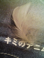 f:id:xxkyrixx:20100603213843j:image f:id:xxkyrixx:20100603213843j:image
