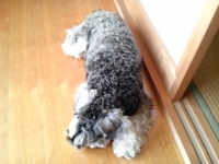 f:id:xxkyrixx:20101002143921j:image f:id:xxkyrixx:20101002143921j:image
