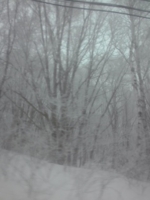 f:id:xxkyrixx:20110102143533j:image f:id:xxkyrixx:20110102143533j:image