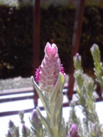 f:id:xxkyrixx:20110326093658j:image f:id:xxkyrixx:20110326093658j:image