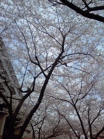 f:id:xxkyrixx:20110410101954j:image f:id:xxkyrixx:20110410101954j:image