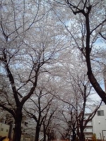 f:id:xxkyrixx:20110410102147j:image f:id:xxkyrixx:20110410102147j:image