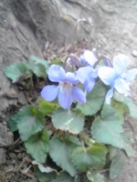 f:id:xxkyrixx:20110410105729j:image f:id:xxkyrixx:20110410105729j:image
