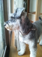 f:id:xxkyrixx:20110703071005j:image f:id:xxkyrixx:20110703071005j:image