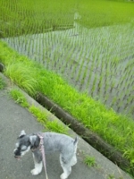 f:id:xxkyrixx:20110703073654j:image f:id:xxkyrixx:20110703073654j:image