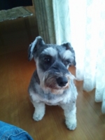 f:id:xxkyrixx:20110703092732j:image f:id:xxkyrixx:20110703092732j:image