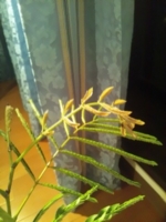 f:id:xxkyrixx:20110718215308j:image f:id:xxkyrixx:20110718215308j:image