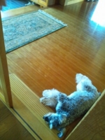 f:id:xxkyrixx:20120527140349j:image f:id:xxkyrixx:20120527140349j:image