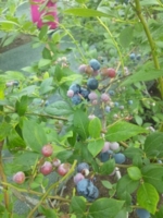 f:id:xxkyrixx:20120714092919j:image f:id:xxkyrixx:20120714092919j:image