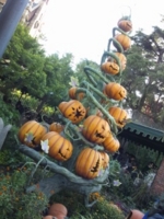 f:id:xxkyrixx:20121209135734j:image f:id:xxkyrixx:20121209135734j:image