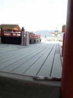 f:id:xxkyrixx:20130217091519j:image f:id:xxkyrixx:20130217091519j:image