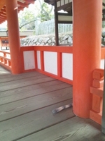 f:id:xxkyrixx:20130217093339j:image f:id:xxkyrixx:20130217093339j:image