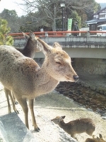 f:id:xxkyrixx:20130217101901j:image f:id:xxkyrixx:20130217101901j:image