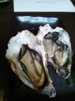 f:id:xxkyrixx:20130217104141j:image f:id:xxkyrixx:20130217104141j:image