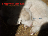 f:id:xxkyrixx:20141230194548j:image f:id:xxkyrixx:20141230194548j:image