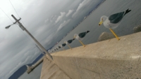 f:id:xxkyrixx:20160827083206j:image f:id:xxkyrixx:20160827083206j:image