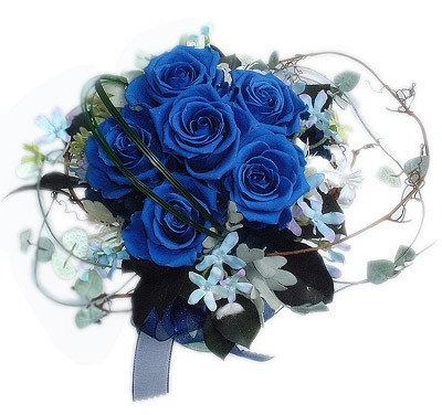 f:id:xxshigexx:20090720220423j:image f:id:xxshigexx:20090720220423j:image