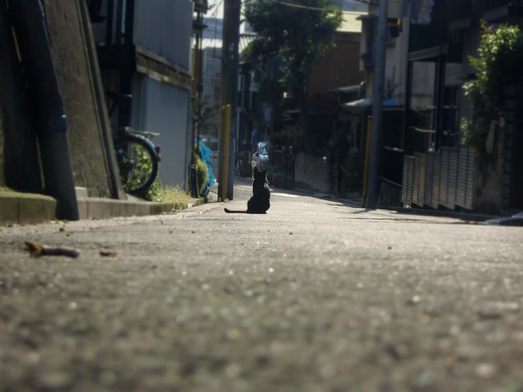 f:id:xxxaki:20170115145658j:plain f:id:xxxaki:20170115145658j:plain