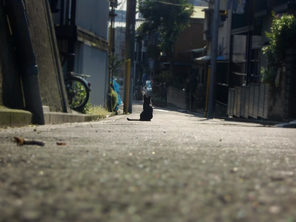 f:id:xxxaki:20170726220031j:plain f:id:xxxaki:20170726220031j:plain