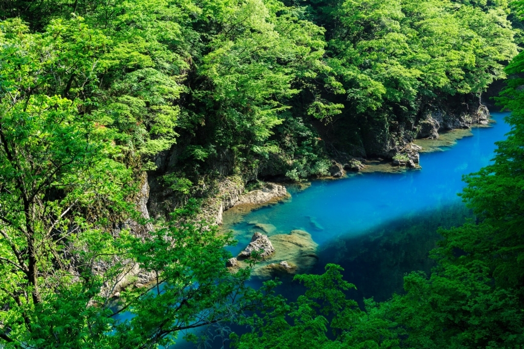 f:id:xxxaki:20180624123536j:plain f:id:xxxaki:20180624123536j:plain