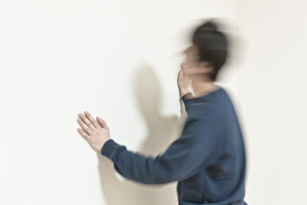 f:id:xxxaki:20180811185500j:plain f:id:xxxaki:20180811185500j:plain