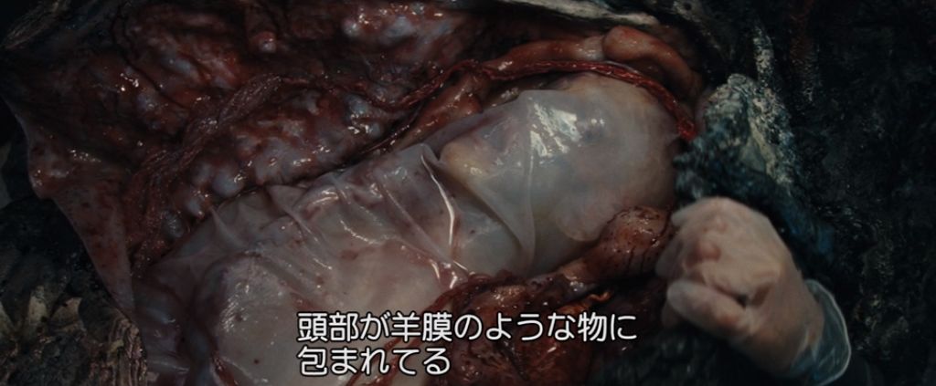 f:id:xxxaki:20190114205706p:plain