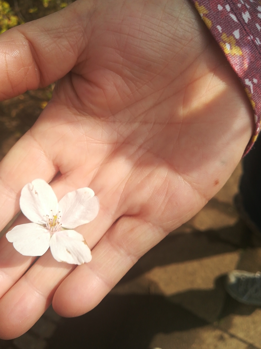 f:id:xxxaki:20190825211352j:plain f:id:xxxaki:20190825211352j:plain