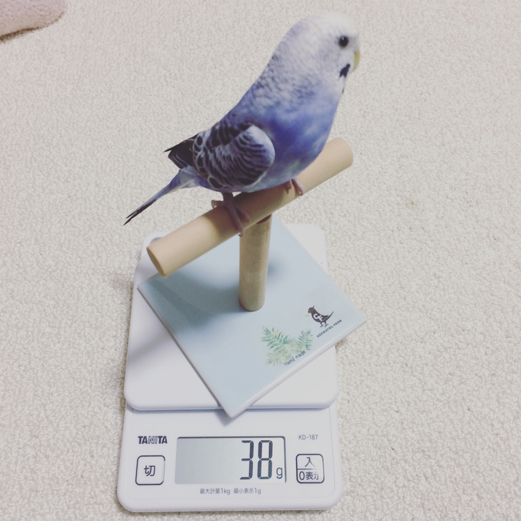 f:id:xxxichi1023:20161227184507j:plain f:id:xxxichi1023:20161227184507j:plain