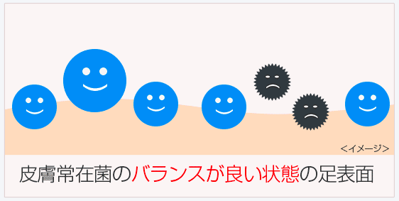 え?ノーノースメルが効かない?本当に使ってるの?個人的な評価は90点ですが...