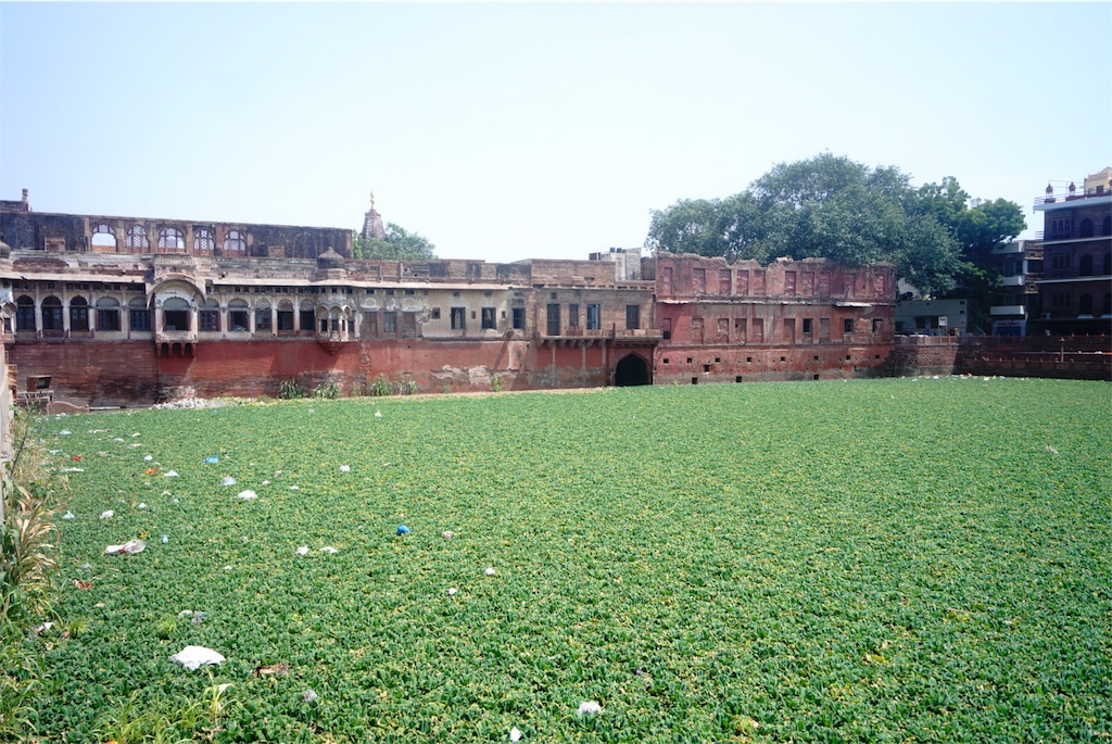 f:id:xxxxxl_cplop344:20180926011454j:image