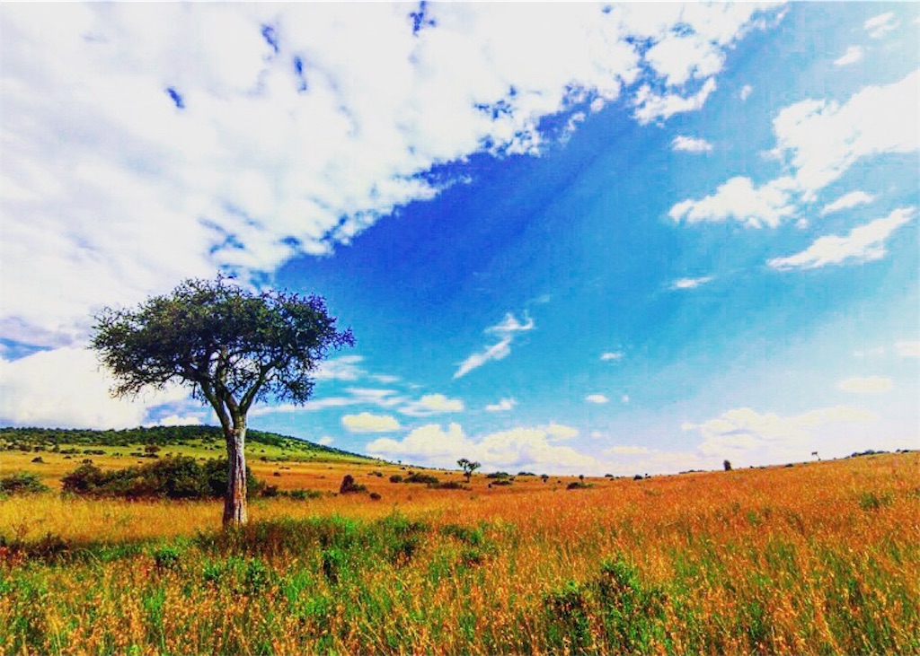 f:id:xxxxxl_cplop344:20181231212556j:image f:id:xxxxxl_cplop344:20181231212556j:image