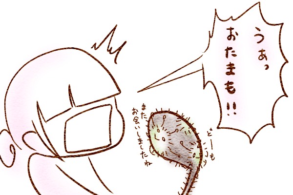 f:id:xybaby_ope_01:20190925093231j:plain