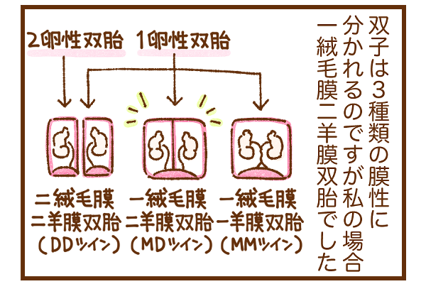 f:id:xybaby_ope_01:20220302151315p:plain