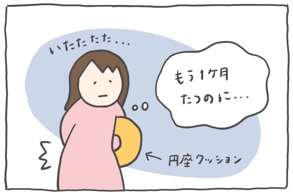 産後1ヶ月でも手放せなかった円座クッション お尻の痛みは 出産時の尾骨骨折だった Byかめかあさん ゼクシィbaby 妊娠 出産 育児 みんなの体験記 産後1ヶ月でも手放せなかった円座クッション お尻の痛みは 出産時の尾骨骨折だった Byかめかあさん ゼクシィbaby 妊娠 出産 育児 みんなの体験記