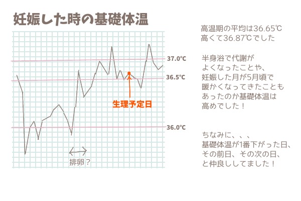 私の体温　基礎体温　箱無し 基礎体温 - Search / X