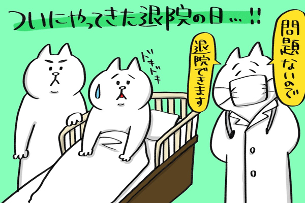 f:id:xybaby_ope_07:20200323113836j:plain