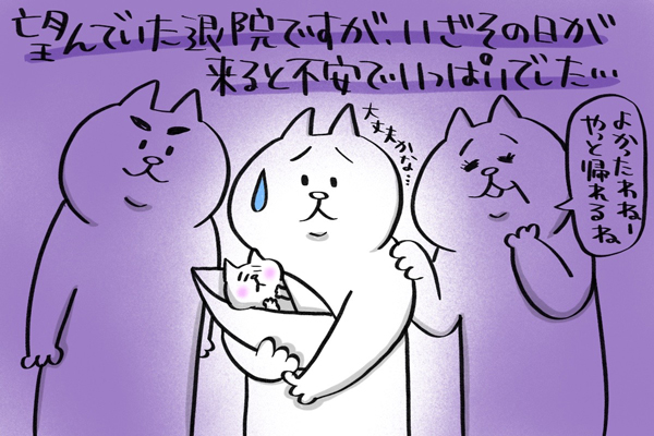 f:id:xybaby_ope_07:20200323113915j:plain