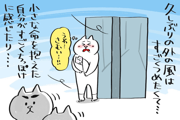 f:id:xybaby_ope_07:20200323113936j:plain