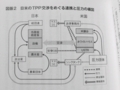 [ＴＰＰ黒い条約]p.139 図版２　日米のＴＰＰ交渉をめぐる連携と圧力の構図